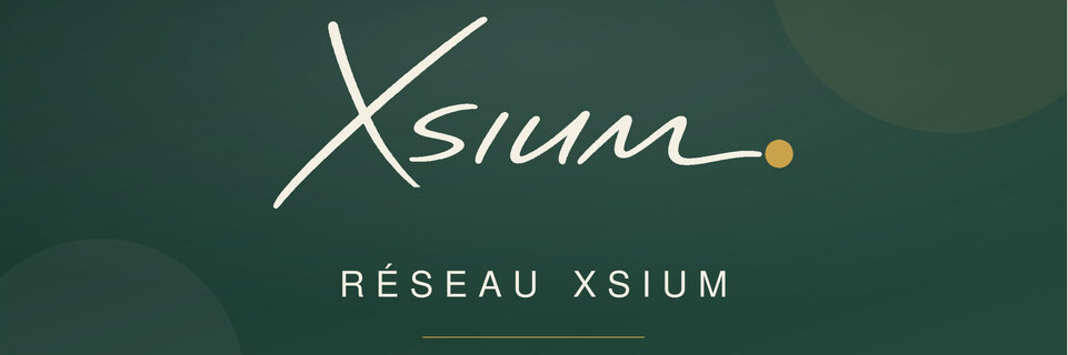 Identidad visual XSIUM Área 06
